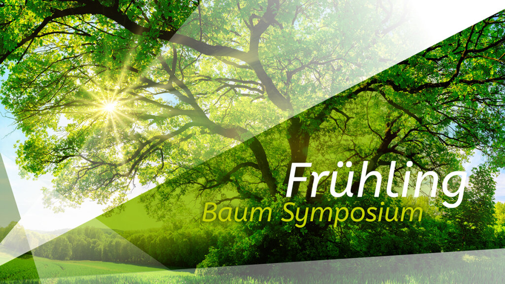 FRÜHLING Baum Symposium 2026