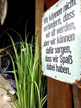 Peter kocht Ente – Ente (satt) im Erlkönig