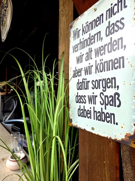 Peter kocht Ente – Ente (satt) im Erlkönig