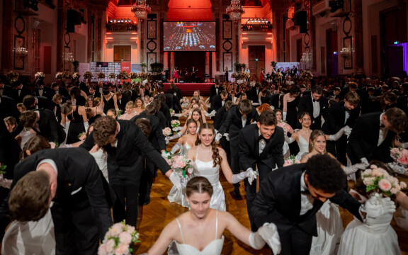 Dancer against Cancer Galaball