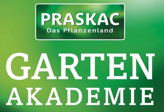 Mit Ziegen durch die Baumschule – da gibt’s nichts zu meckern