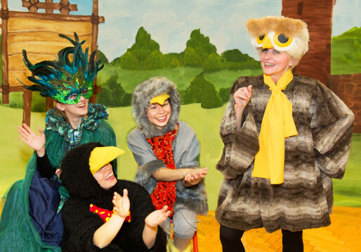 Kinder Mitmach-Musical ,,Vogelfreunde“