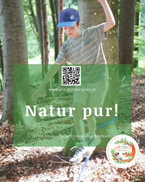 Abenteuer im Wald (Alter 6 – 10 Jahre)