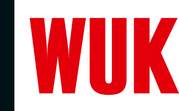 The Amy Winehouse Band