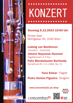 Konzert Sonntag, 8.12.24, Ehrbar Saal