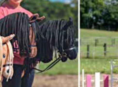 HOBBY HORSE am Erlebnishof
