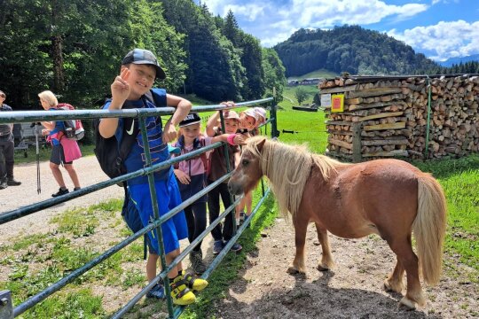 Ferienpass – Wandern auf die Hochsteinalm (4 bis 14 Jahre)