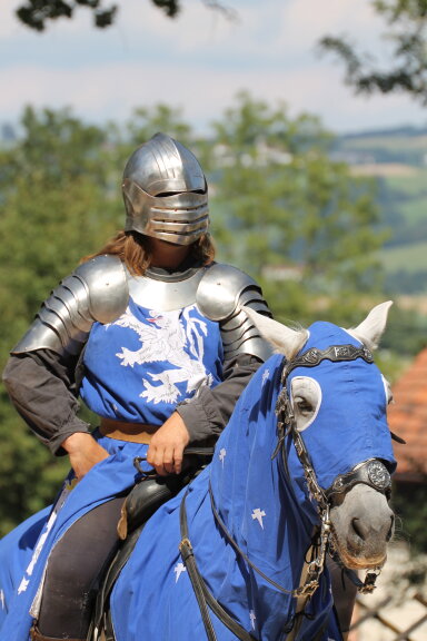 Ritterturnier zu Pferde LAXENBURG