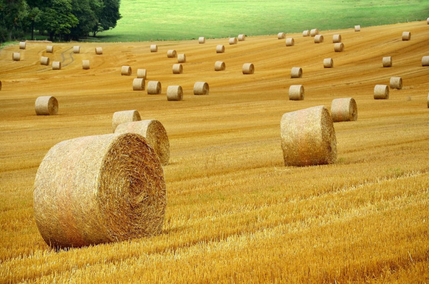 Ein Nachmittag am Bauernhof