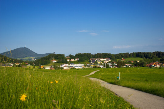 Entdecke den Bauernhof (Alter 6 – 10 Jahre)