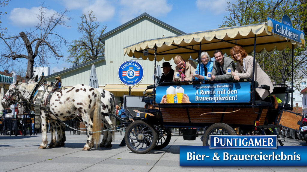 Puntigamer Galobierer – Bierverkostung & Stadtrundfahrt mit den Brauereipferden
