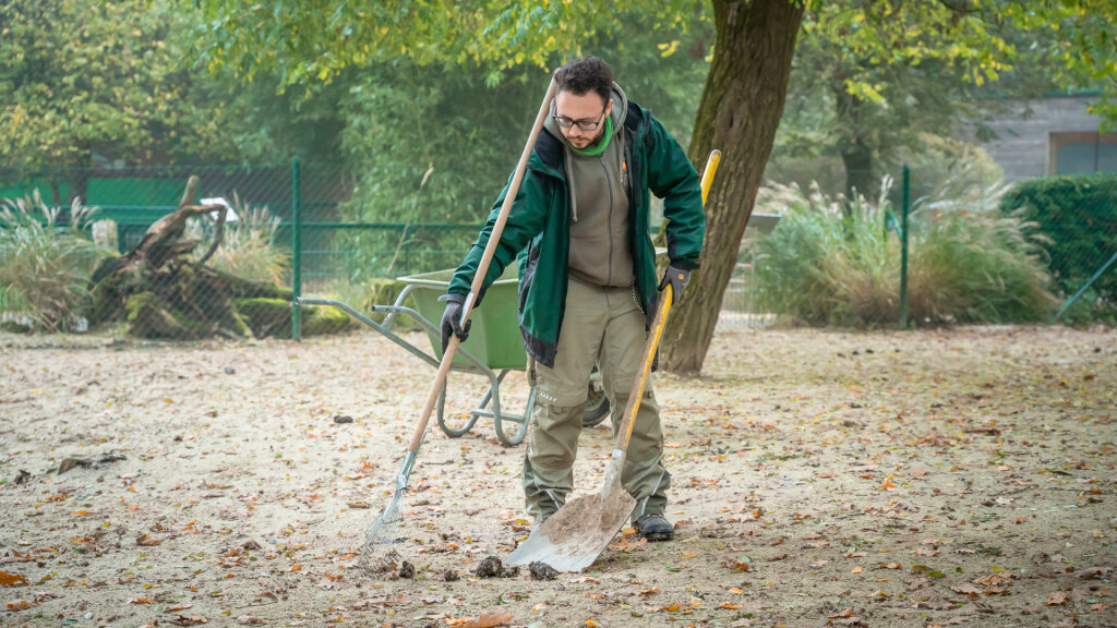 Ein Tag Tierpfleger 14-20 Jahre