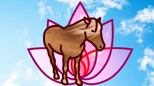Pony meets Yoga Days – Anmeldungen direkt über Michaela Berger