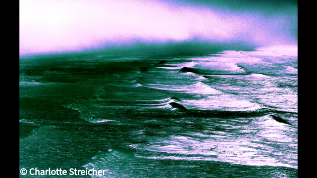 Nie wieder Frieden – Trilogie über das Mitmachen