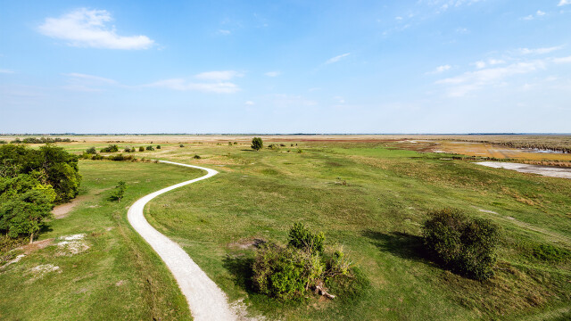 Steppe soweit das Auge reicht: Weideflächen im Seewinkel