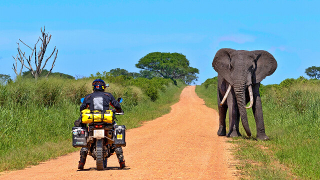 AFRIKA – Joe Pichler
