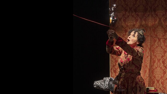 MiMiS Sonntag 2026 Der Hundeflohzirkus