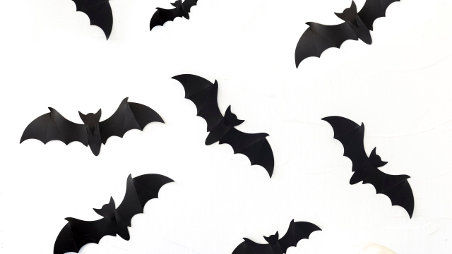 batnight