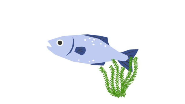 Fischen und Spielen