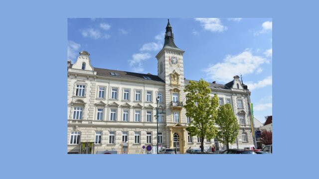Ein Vormittag im Rathaus