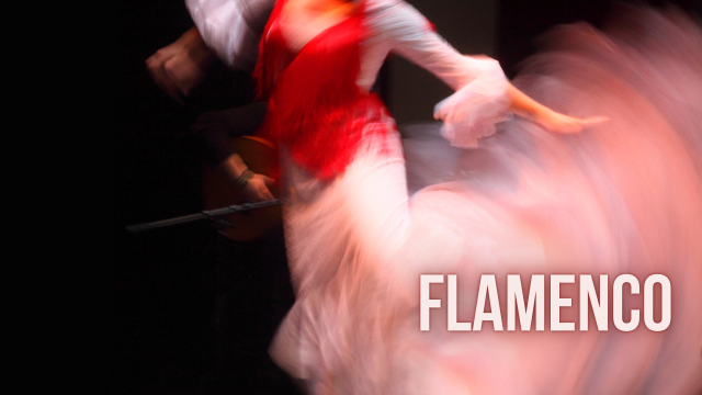 Flamenco (Open Level)
