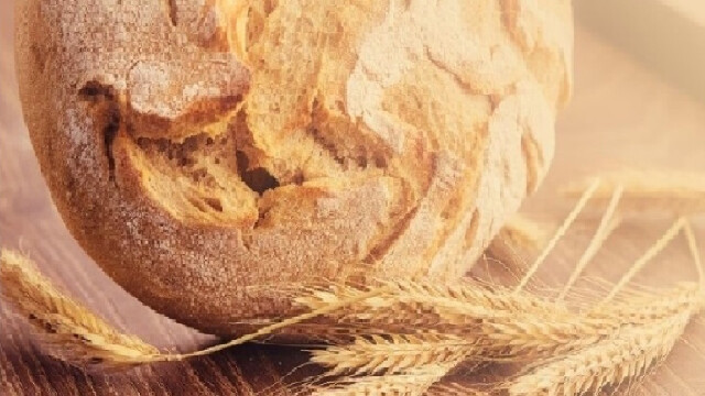 Vom Korn zum Brot – ein aufregender Tag am Bauernhof