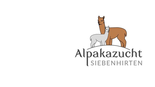 Alpakas hautnah erleben