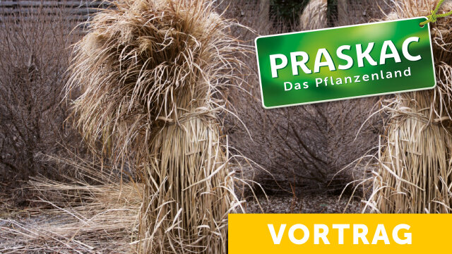 Wenn der Garten zur Ruhe kommt: Einwintern mit System