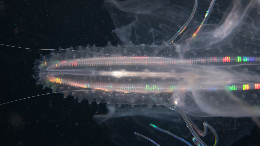 Manfred Wakolbinger  –  Blackwater / Galaxies, Artistalk und Führung