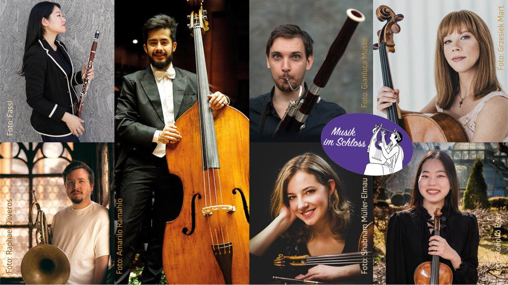Musik im Schloss – Perlen der Kammermusik – Wiener Kammer Solisten