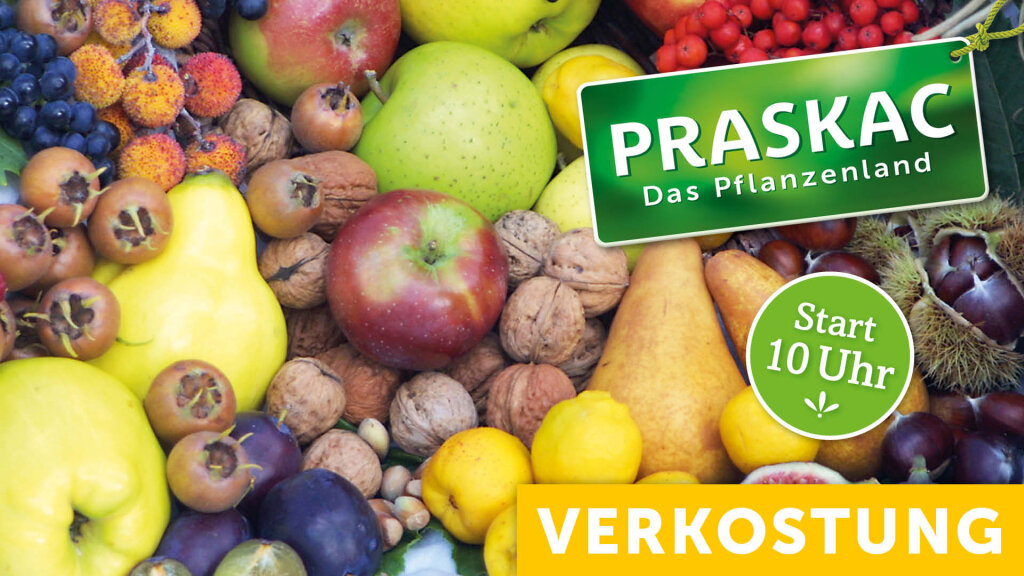 Obstsortenverkostung mit Ralph Brandstetter