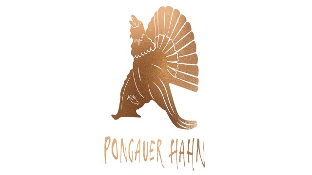 Großer alpenländischer Volksmusikpreis Pongauer Hahn