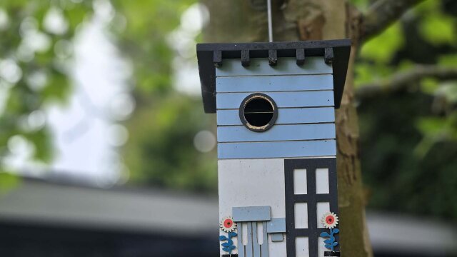 Bau mir ein Nest: Wir bauen einen Nistkasten, ab 9 Jahren