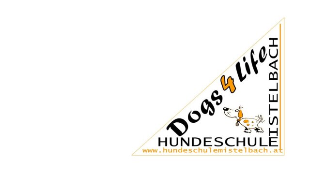 Ein Nachmittag voller Spiel, Spaß und Hundeabenteuer!