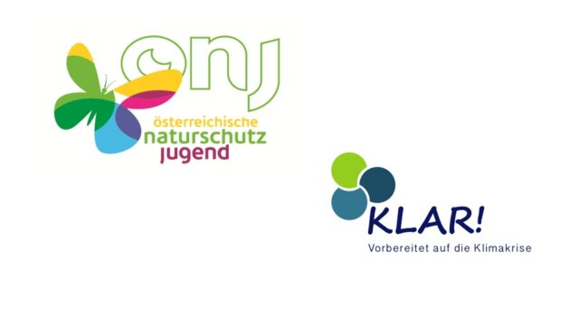 Bunte Blumen, brummende Besucher