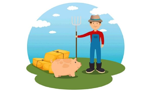 Ein Tag als Schweinebauer