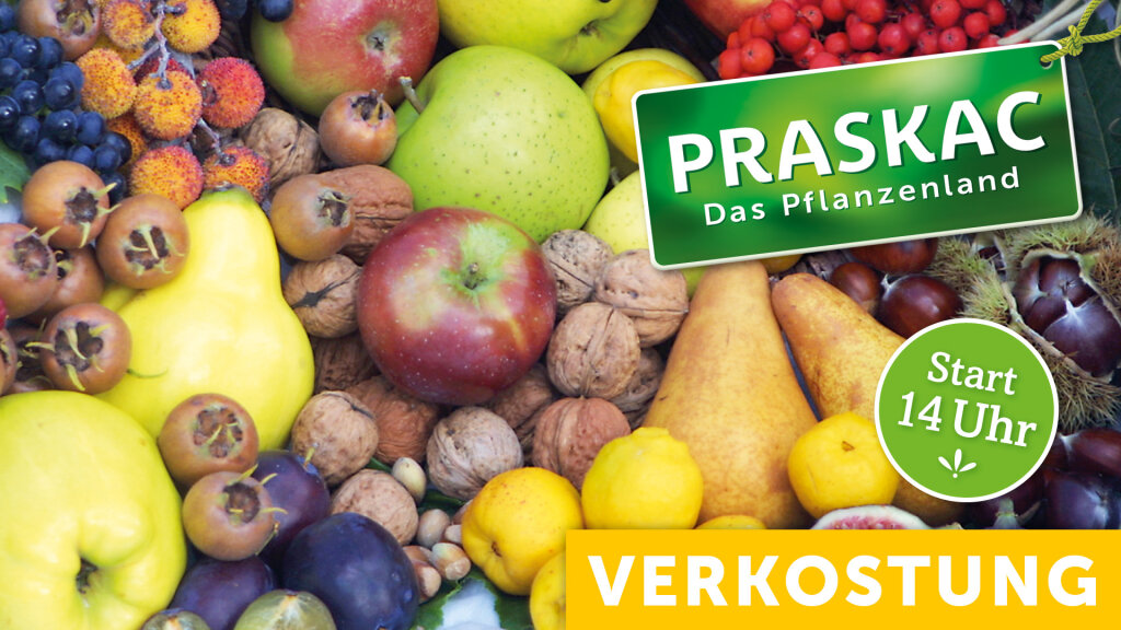 Obstsortenverkostung mit Ralph Brandstetter