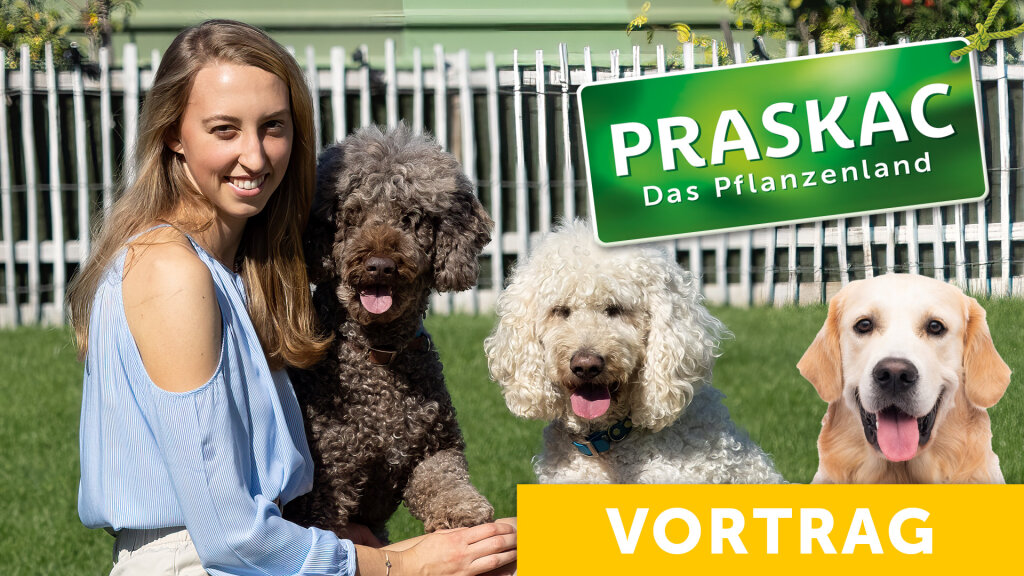 Gartenglück auf vier Pfoten: Das Paradies für Schnüffelnasen