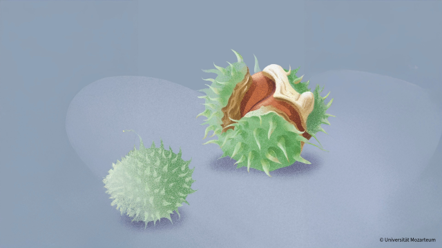 HerbstTöne 2025: STURM UND DRANG!