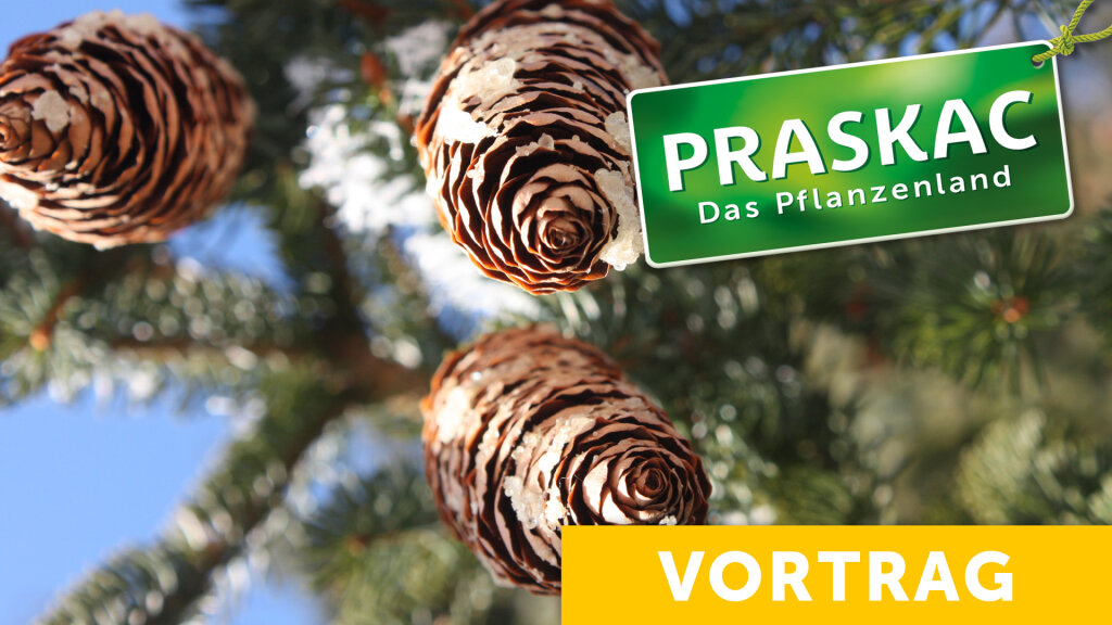 Das Glück mit dem Pech