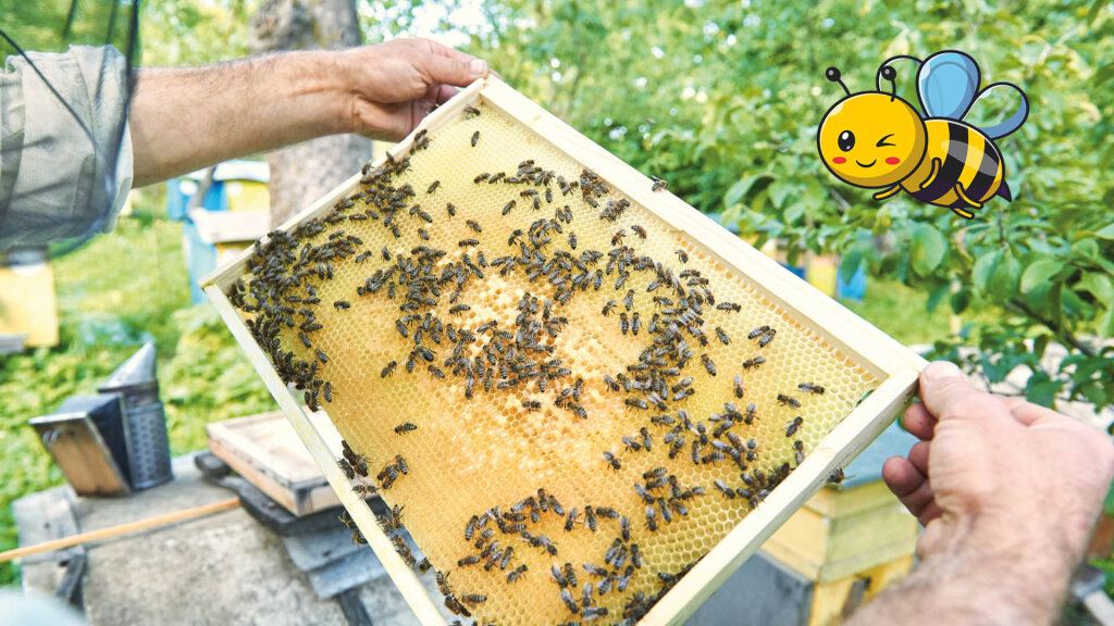 Gemma Bienenküssen und Honigkosten