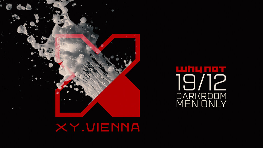 XY @ Why Not Vienna