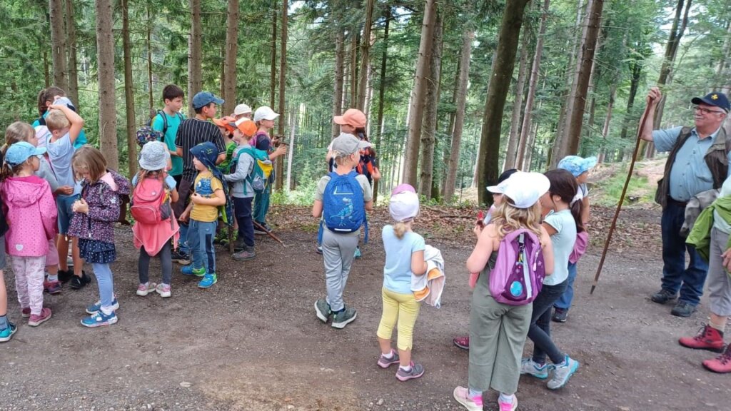 17. WARTELISTE Schätze finden im Wald (6-14 Jahre)