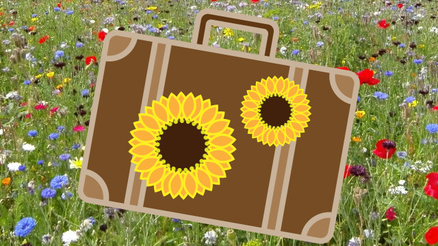 Reise durch den Sommergarten