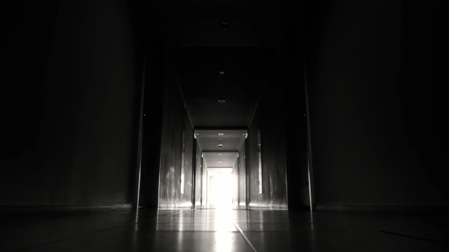 Suor Angelica und Gianni Schicchi