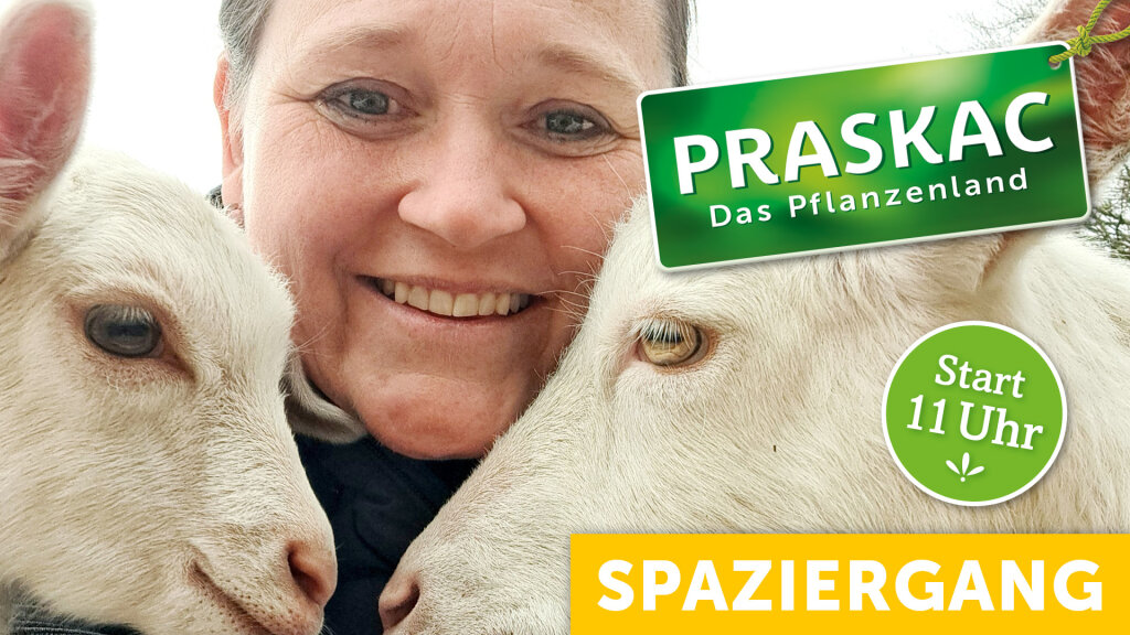 Mit Ziegen durch die Baumschule – da gibt’s nichts zu meckern