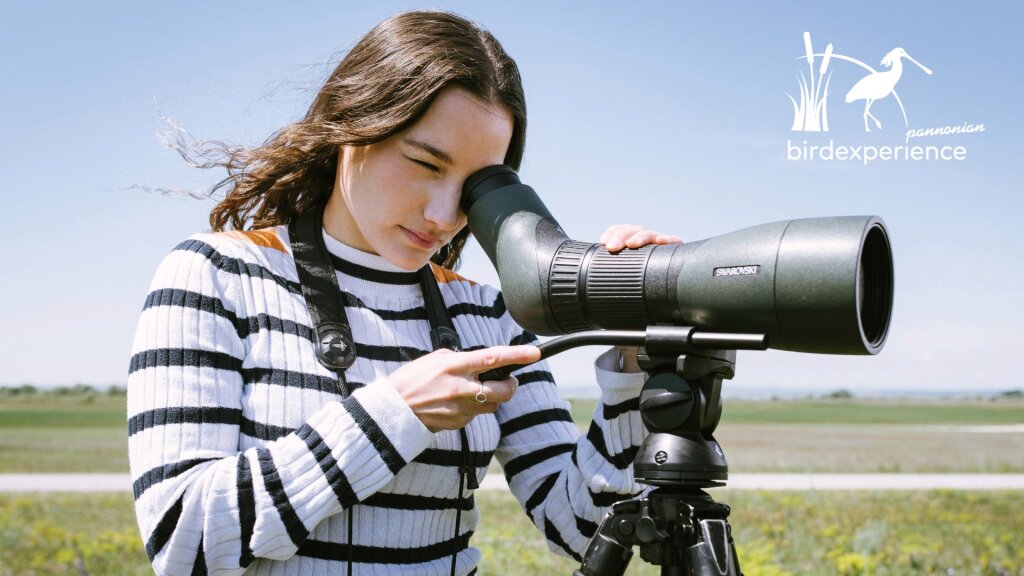 Workshop : Die neue Welt der Teleskope  – AT/ST Balance –  mit Phonescoping