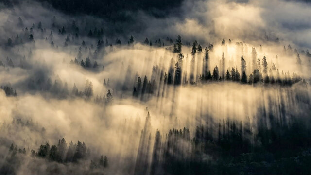 DAS FLÜSTERN DER WÄLDER (Veranstaltungsort: REMISE 1894)