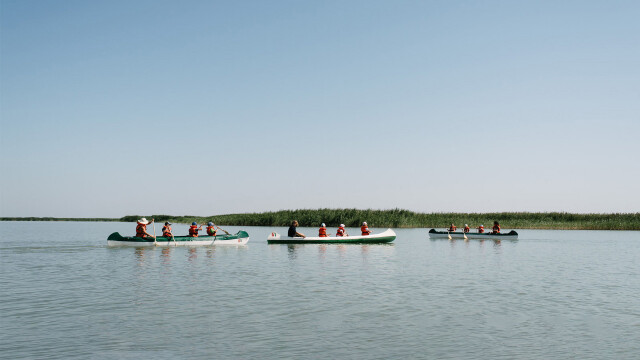 Kanutour am Neusiedler See