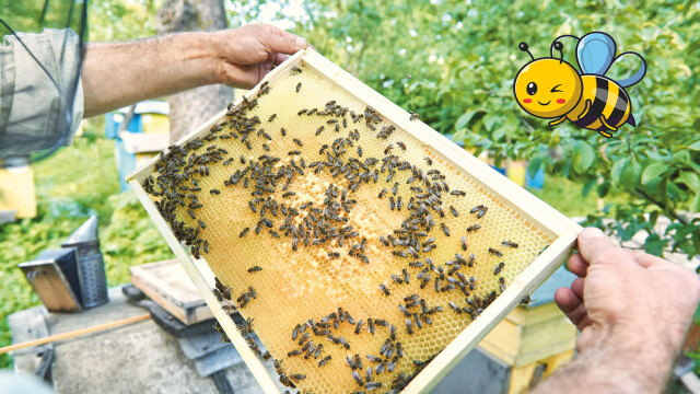 Gemma Bienenküssen und Honigkosten